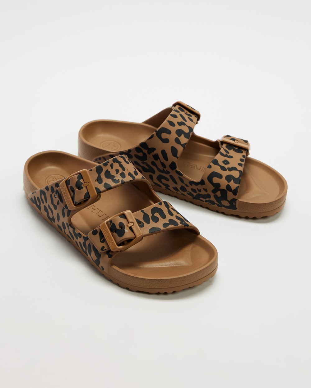 Ripe Slides Ocelot